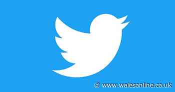 You have until December 11 to stop your Twitter account being deleted