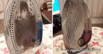 Woman shares clever trick to make iron sparkling clean