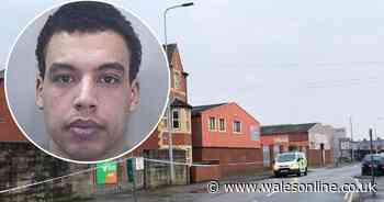 Sex predator who dragged women to the ground then covered their mouths in chilling early-hours attacks is granted right to fight his sentence