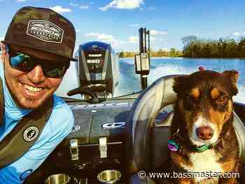 Man’s best friend