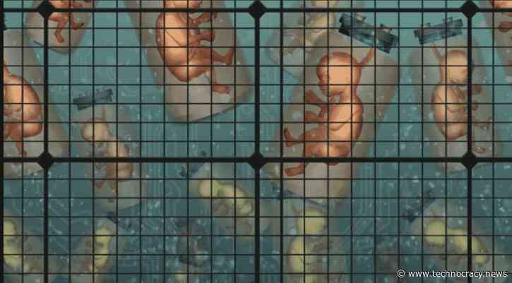 Scientists: Artificial Wombs Could Replace Women