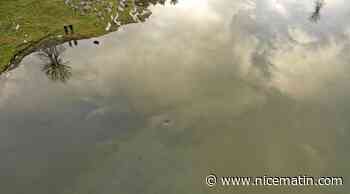 VIDÉO. Voici pourquoi un étrange tourbillon a été aperçu sur le plateau de Caussols noyé sous les eaux de pluie