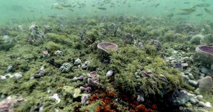 Letter: Something must be done about climate change