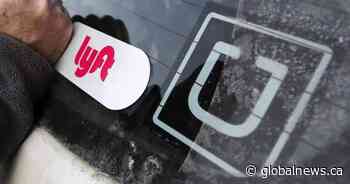 Metro Vancouver should copy Tri-Cities joint rideshare licence, says Port Coquitlam mayor
