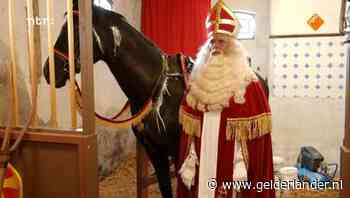 Sinterklaas’ paard Ozosnel is niet wit, maar zwart