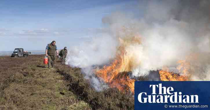 The horrific effects of moor burning | Letter