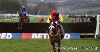 Native River looks likely to bid for another Coral Welsh Grand National success