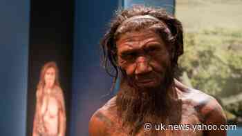 Inbreeding and small populations ‘could have led to Neanderthal extinction’