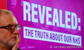What do papers obtained by Labour say about NHS and drug pricing?