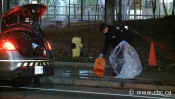 Accused feces thrower's bailing hearing in Toronto adjourned until next month