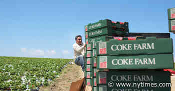 Turning Farm Workers Into Farmers