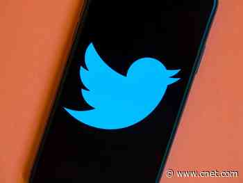 Twitter hits pause on plan to delete inactive accounts     - CNET