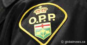 Man facing charges after vicious dog attack sent three children to hospital: OPP