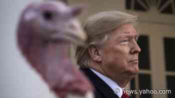 Trump's claim of movement to rename Thanksgiving met with bewilderment, mockery