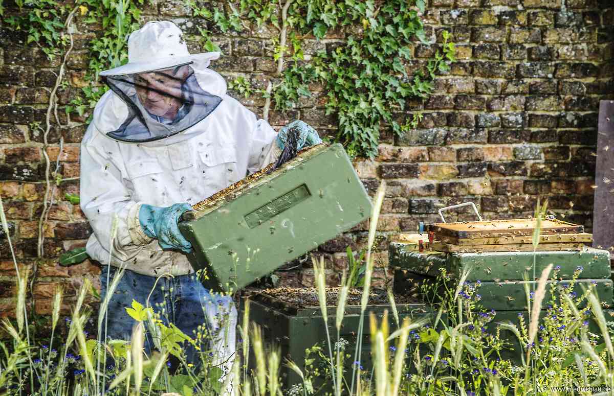 Lokale imker moet omgeving aantrekkelijk maken voor bijen