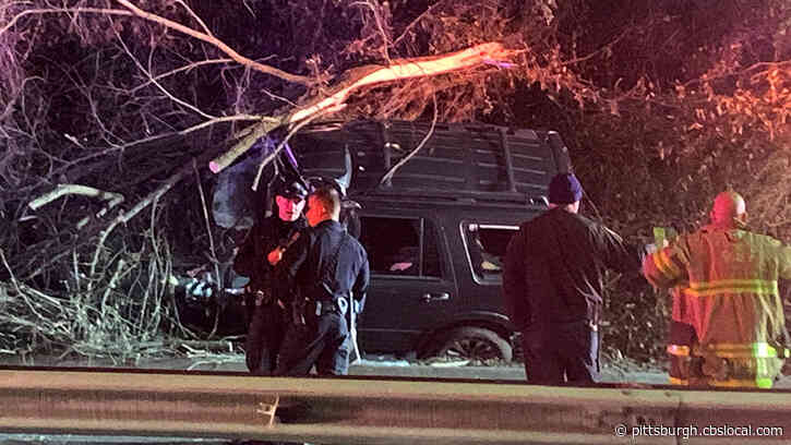 Bigelow Boulevard Temporarily Closes After Tree Falls On Vehicle