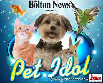 Pet Idol 2019: Full gallery of every adorable entry