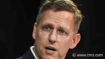 Peter Thiel Sued Over Landslide That Damaged Neighbor's Home