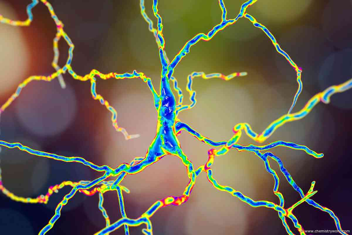 Spectroscopic biomarkers track Huntington’s disease progression