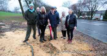 Furious Ryton residents slam the council for cutting down four trees