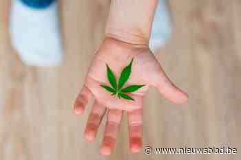 155 cannabisplanten in kinderkamer: 18 maanden cel