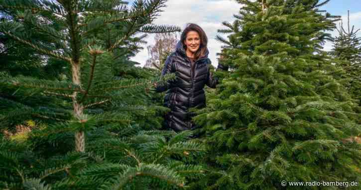 Weihnachtsbäume: Ministerin wirbt für Nachhaltigkeit