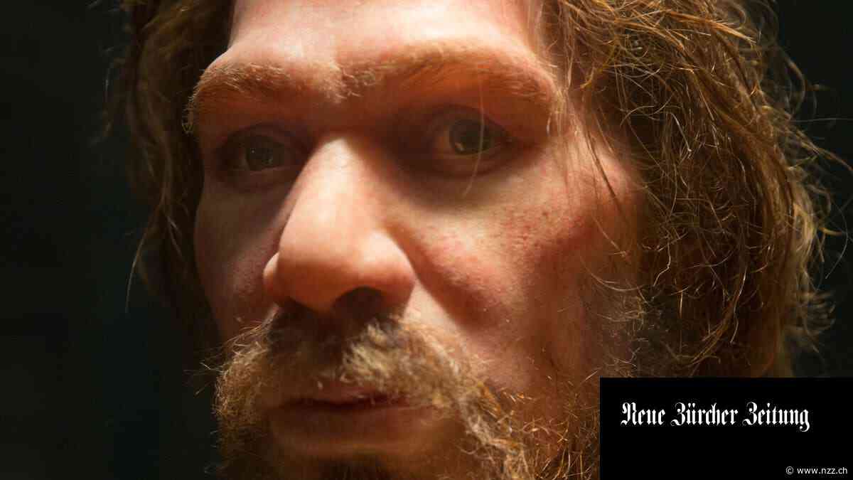 Wie viel hat der moderne Mensch mit dem Aussterben der Neandertaler zu tun?