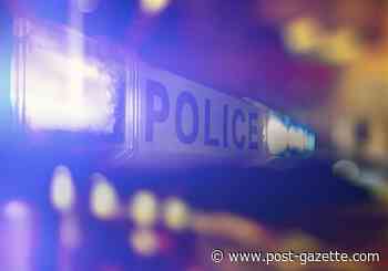 Pittsburgh police detain two juveniles for firing shots, trying to break into vehicles on Mount Washington