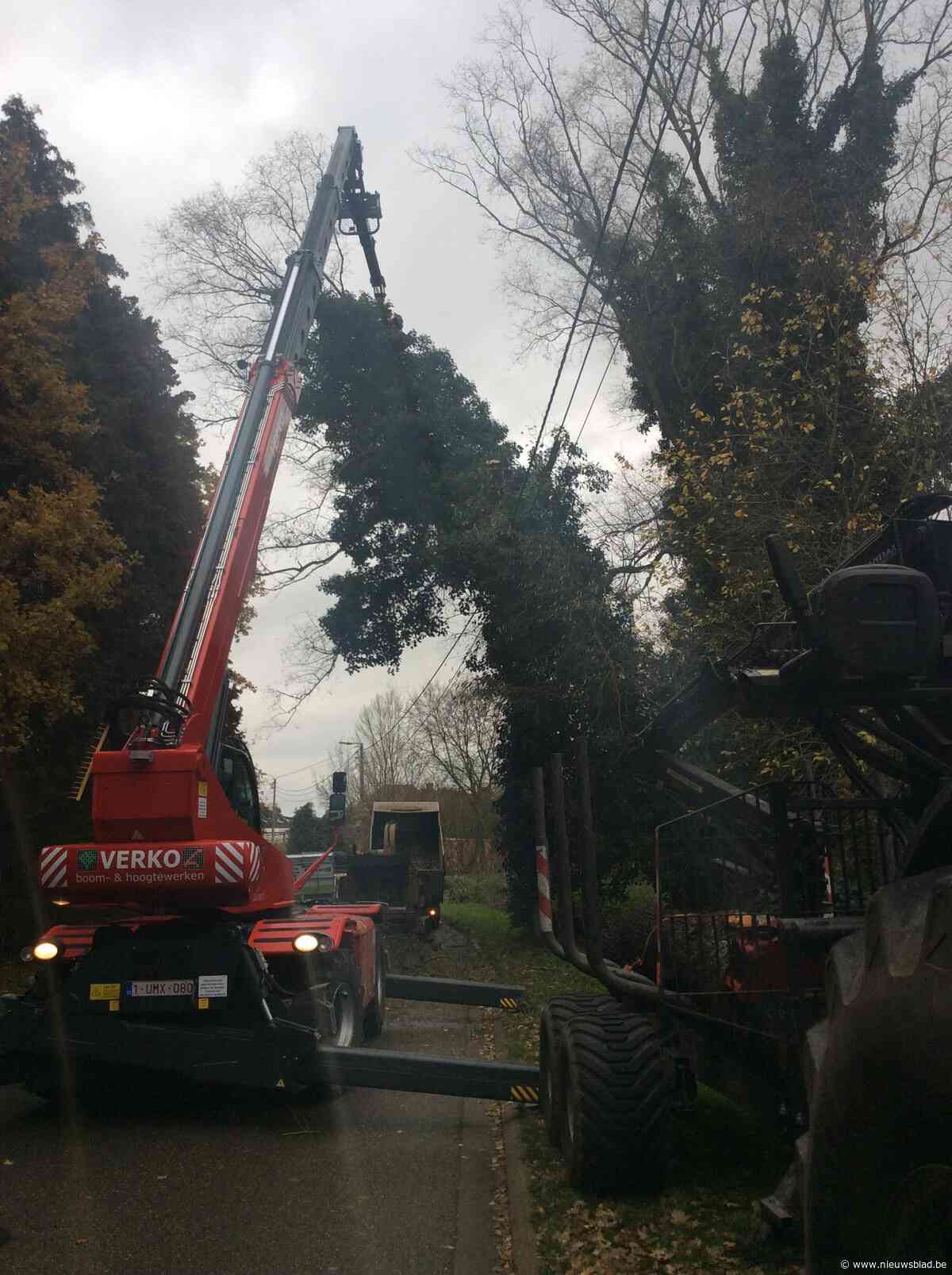 Stormschade in de Basdongenstraat