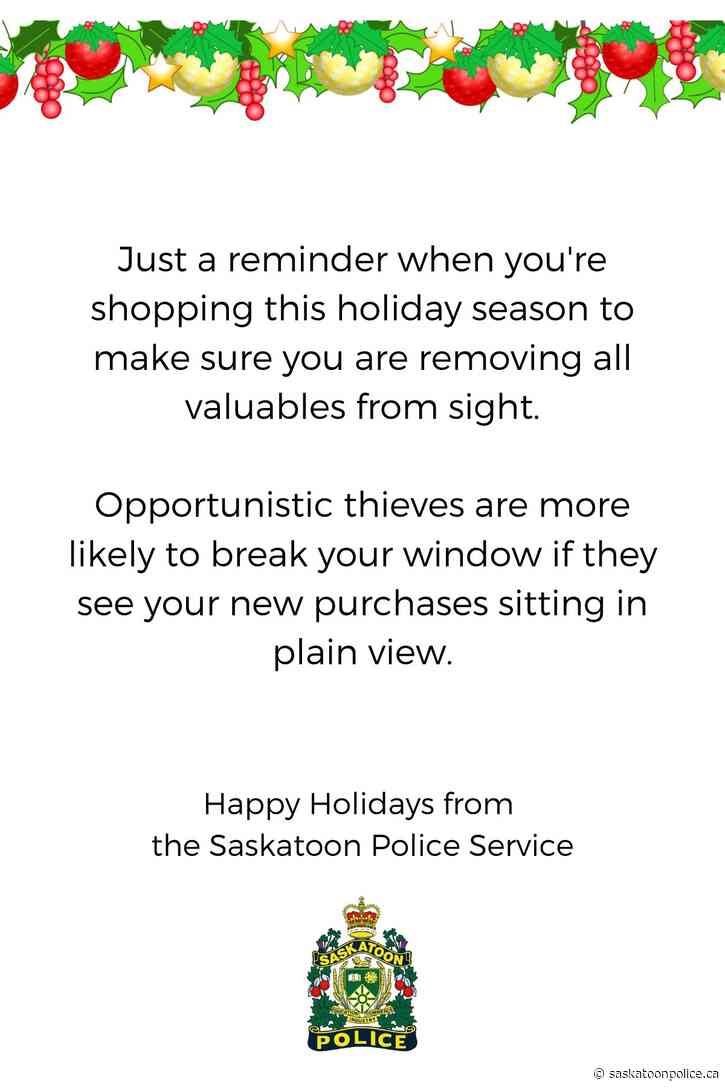 Public Advisory - Holiday Shopping Safety