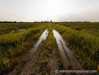 County of St. Paul declares agricultural disaster