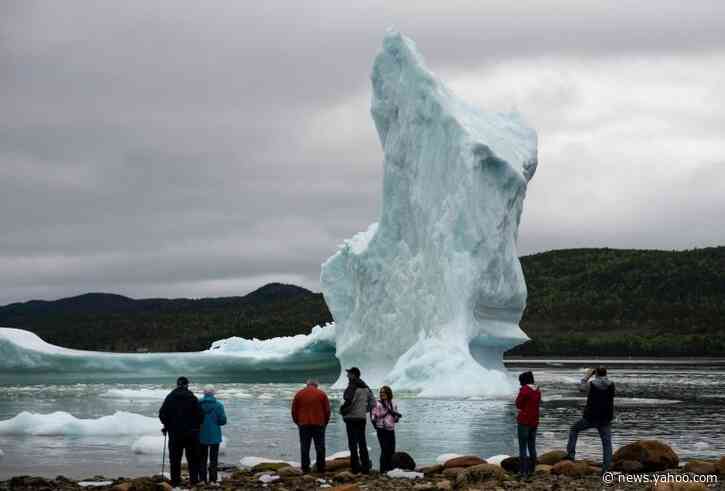 Canada needs much higher carbon tax to meet climate target: study