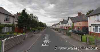 Man admits hit-and-run charges after young girl seriously injured in Ely, Cardiff