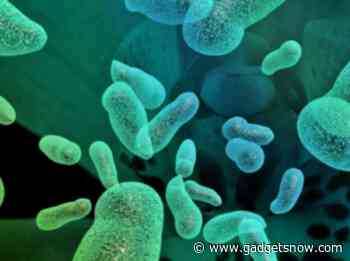Scientists develop bacteria that consume carbon dioxide