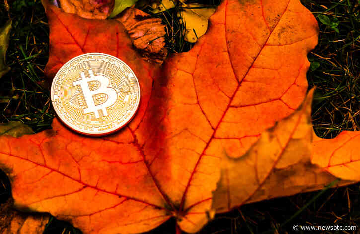 Should Bitcoin Investors Be Thankful It’s Thanksgiving?
