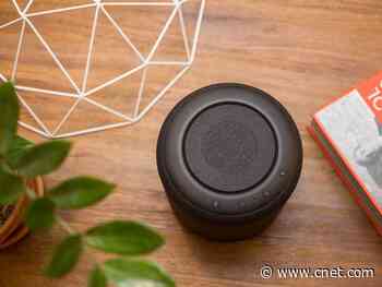 Make your Amazon Echo work for you this Thanksgiving day     - CNET