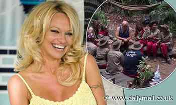 Pamela Anderson sparks speculation she is going into the I'm A Celebrity jungle