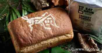 Bakery launches UK's first insect bread and it is made with over 300 crickets
