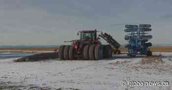 Alberta community declares agricultural disaster amid unsuccessful harvest