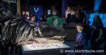 Science Museum celebrates winter solstice with 'Illumination'