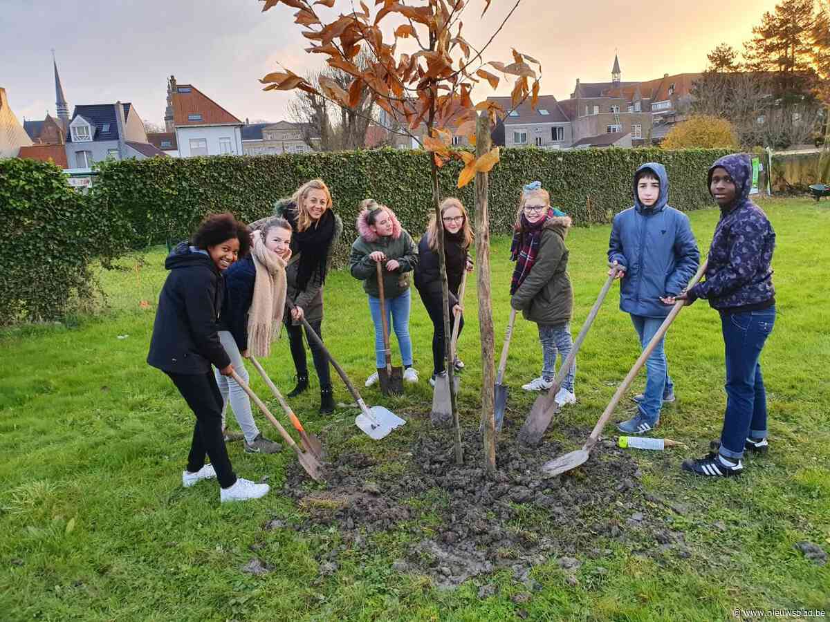 Annuntiata-instituut creëert groene oase op braakliggende weide