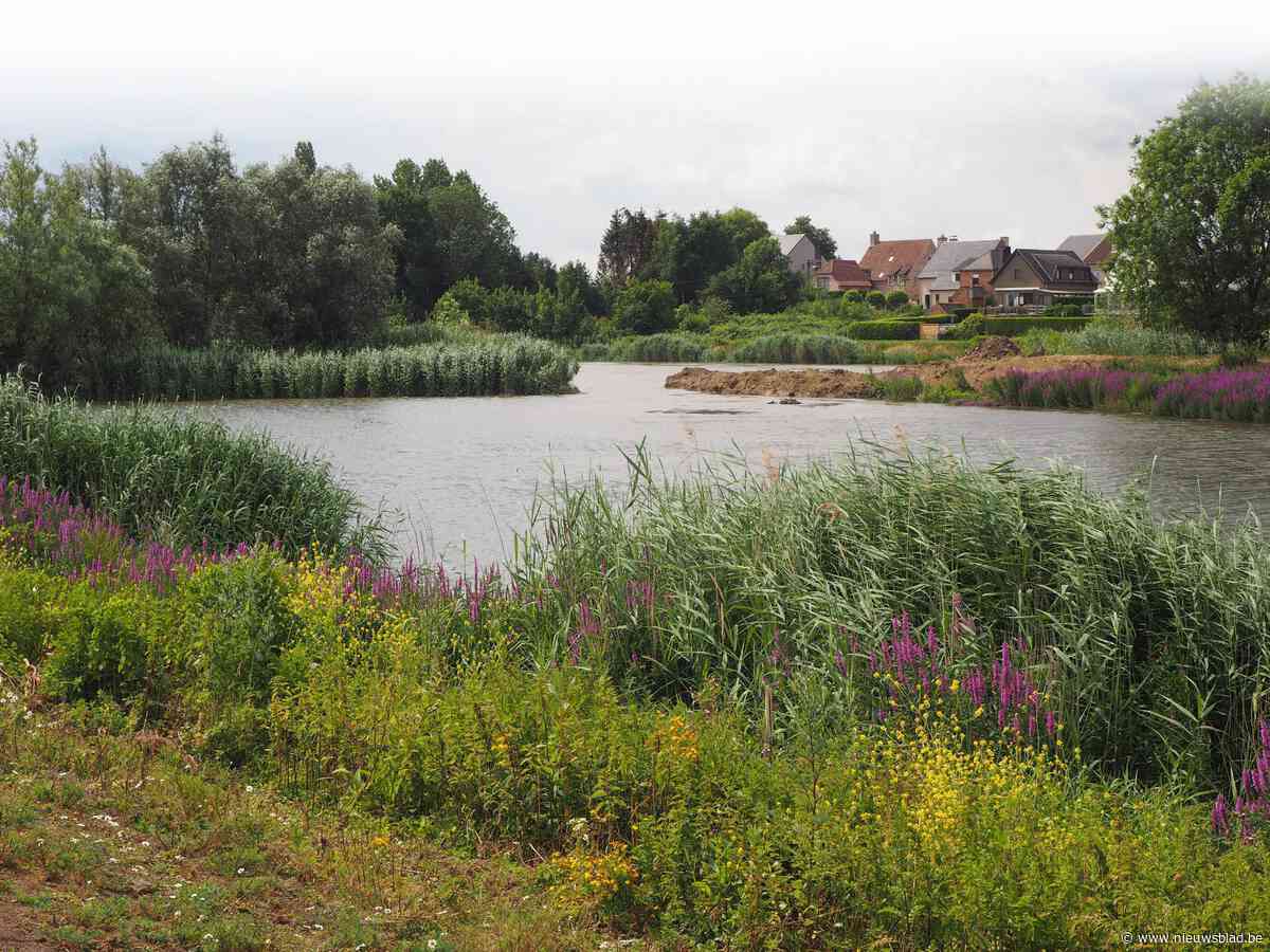 Extra geulen en reuzegrote vallen moeten knijtenplaag indijken
