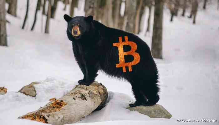 Bitcoin Bears May Not Be Over Yet, Will Black Friday Turn Red?