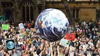 'A huge challenge in front of us': As individuals, what should we be doing about climate change?