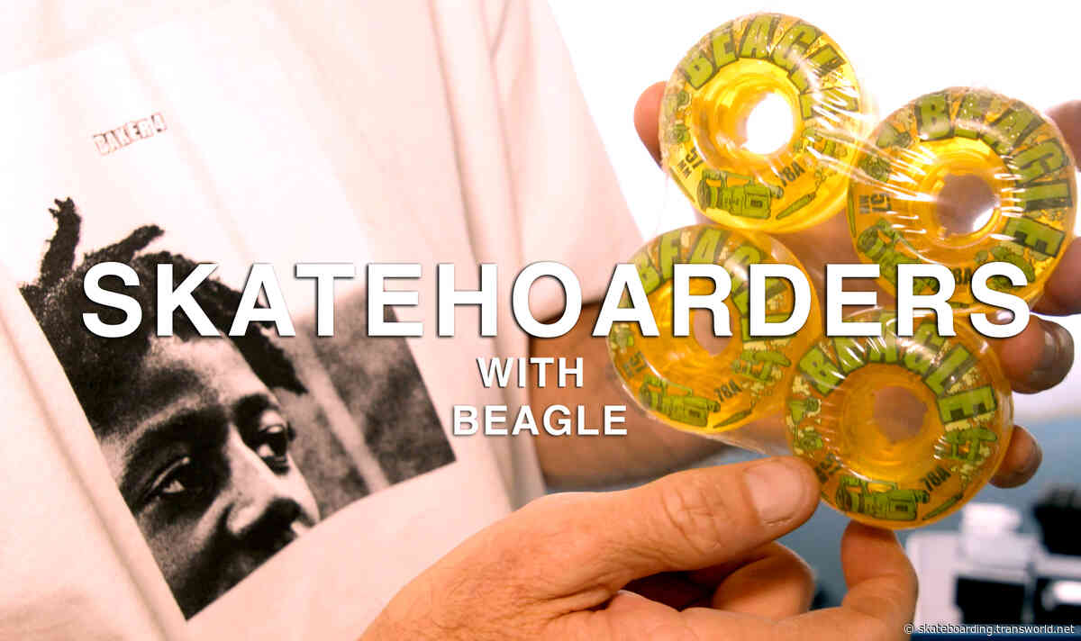SkateHoarders | Beagle