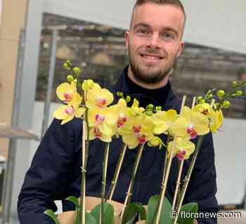 Fijnmazige distributie van biologische bloemen en planten binnen de veiling