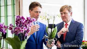 VS steeds populairder als afzetmarkt voor Nederlandse exporteurs