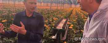 D66 bezoekt Holstein Flowers in kader van warmtetransitie
