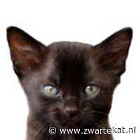 Kort: Tina de Bruin, Freddy De Vadder, Roy Aernouts