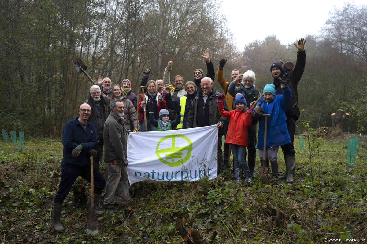 Natuurpunt plant 176 bomen in IJzenbeekbos